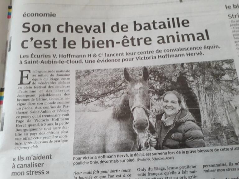 « Le cheval de ma vie… » : ces écuries lancent un centre de convalescence équin à Saint-Aubin-le-Cloud