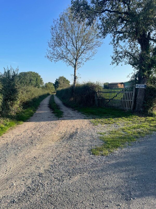 Au coeur de la nature Centre de convalescence du Riage par les écuries V.Hoffmann.H & Co